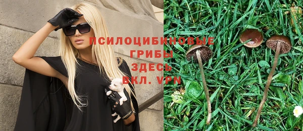 метадон Новодвинск