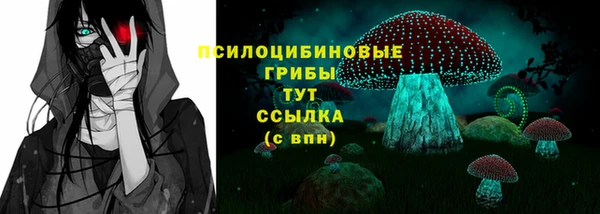 гидропоника Алзамай
