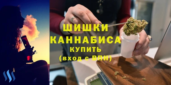 метадон Новодвинск