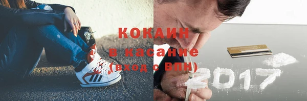 сатива Алексеевка