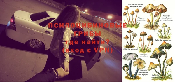 сатива Алексеевка