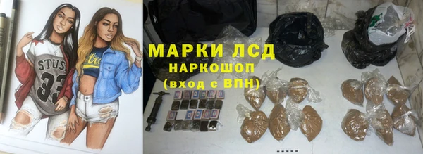 гидропоника Алзамай
