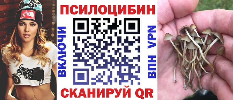 это наркотические препараты  OMG tor  Чайковский  Псилоцибиновые грибы GOLDEN TEACHER 
