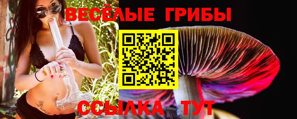 Псилоцибиновые грибы GOLDEN TEACHER  Псилоцибиновые грибы Cubensis  Вход с VPN  Чайковский 