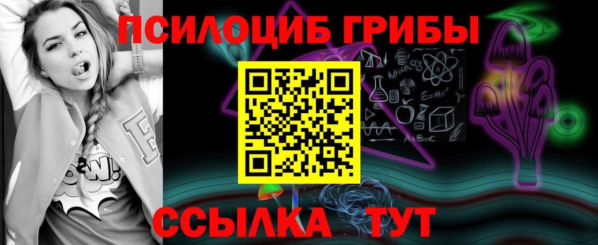 Чайковский  Псилоцибиновые грибы мухоморы  Вход с VPN 