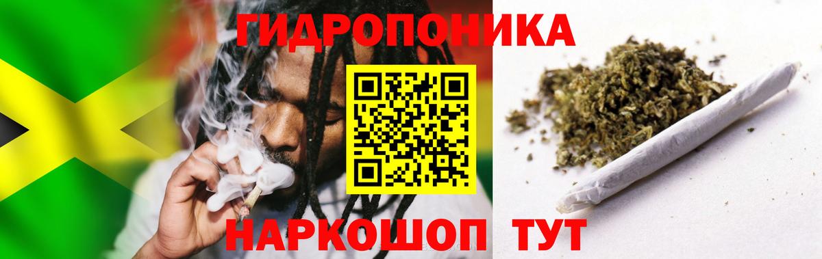 Бошки Шишки семена Чайковский